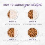 Aurora Pet Gourmet Dry Cat Food & Wipes Pack