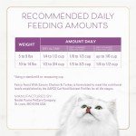 Fancy Feast Gourmet Dry Cat Food - Chicken & Turkey