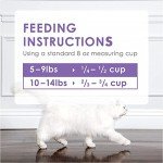 Aurora Pet Gourmet Dry Cat Food & Wipes Pack