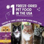Stella & Chewy's Rabbit Grain-Free Cat Food