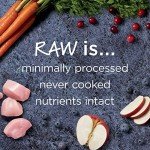 Instinct Raw Boost Grain-Free Indoor Cat Food