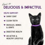 Stella & Chewy's Rabbit Grain-Free Cat Food