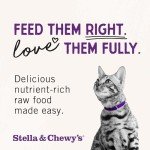 Stella & Chewy's Rabbit Grain-Free Cat Food