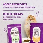 Stella & Chewy's Grain Free Chicken Cat Kibble