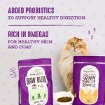 Stella & Chewy's Grain-Free Raw Cat Kibble