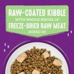 Stella & Chewy's Grain-Free Raw Cat Kibble