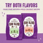Stella & Chewy's Grain-Free Raw Cat Kibble