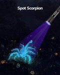 Mini UV Flashlight Set for Pet Urine Detection