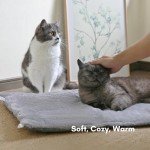 Self-Warming Non-Skid Cat Mat - 24'' x 20