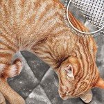 Cozy Gray Self-Warming Cat Bed for Small Cats