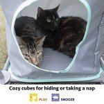 Kitty City Outdoor Cat Catio Mega Kit