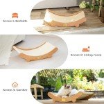 Sisal Cat Scratcher Bed and Lounge Chair