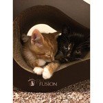 PetFusion Cat Scratching Post in Stylish Design