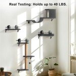 FUKUMARU 4-in-1 Cat Wall Shelves Set