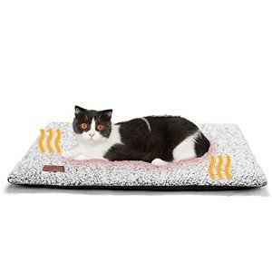 Self-Warming Cat Bed with Removable Cover