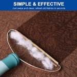 Pet Hair Remover for Deep Cleaning Carpets