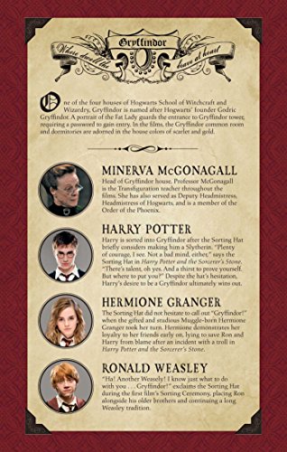 Gryffindor Insights: Harry Potter Notebook