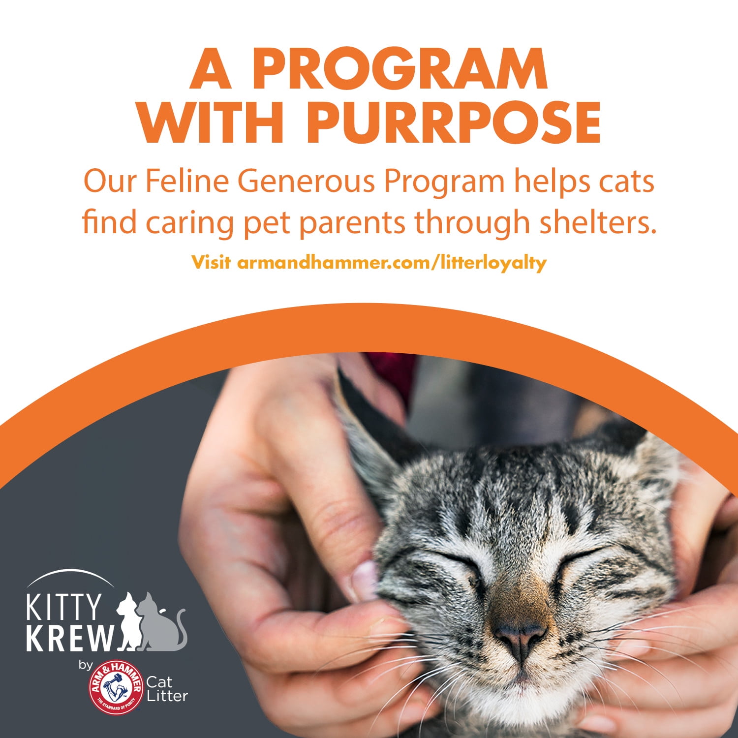 Feline Pine Original 100% Natural Cat Litter, 20lb