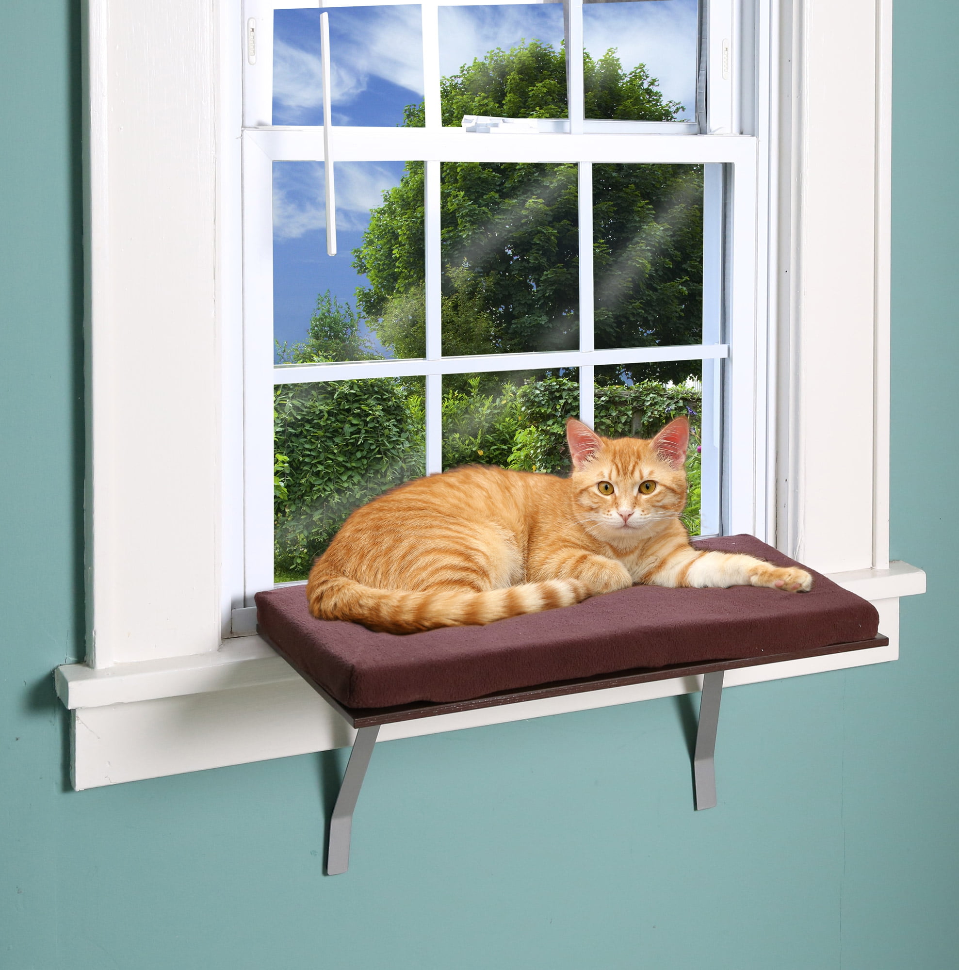 Mounted Brown Cat Window Perch for Comfort