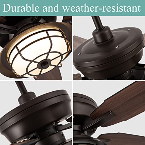 NORFOLK 52" Ceiling Fan with Lights and Remote