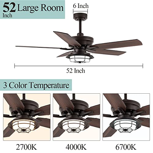 NORFOLK 52" Ceiling Fan with Lights and Remote