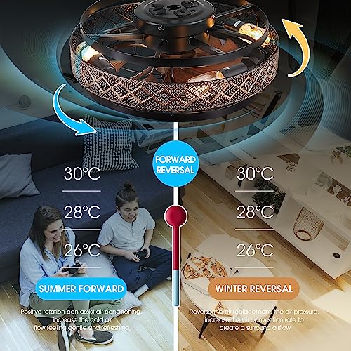 SHIHOT Low Profile Caged Ceiling Fan with Remote