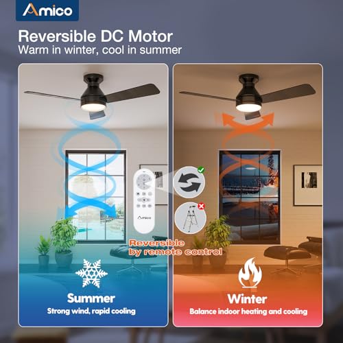 Amico 42" Black Ceiling Fan with Lights & Remote