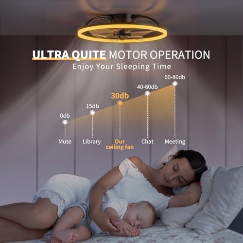 20'' Flush Mount Ceiling Fan w/ Lights, Remote - Black