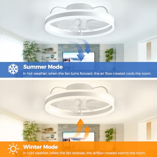 Modern 20" Smart Ceiling Fan with Lights and Remote