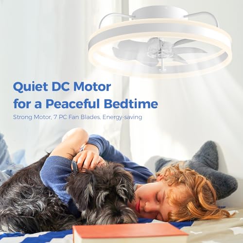 Modern 20" Smart Ceiling Fan with Lights and Remote