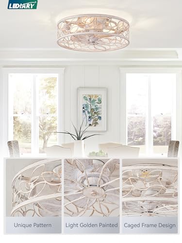 Caged LED Ceiling Fan with Remote, Small Profile