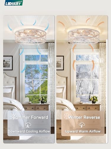 Caged LED Ceiling Fan with Remote, Small Profile