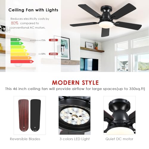 46" Low Profile Ceiling Fan with Lights & Remote (Black)