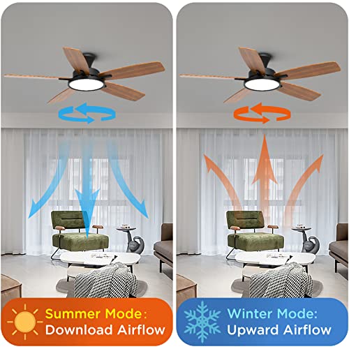 TALOYA 52" Ultra Silent Ceiling Fan with Lights