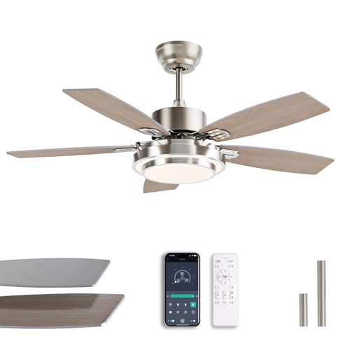Modern Silver 42" Ceiling Fan with Lights and Remote