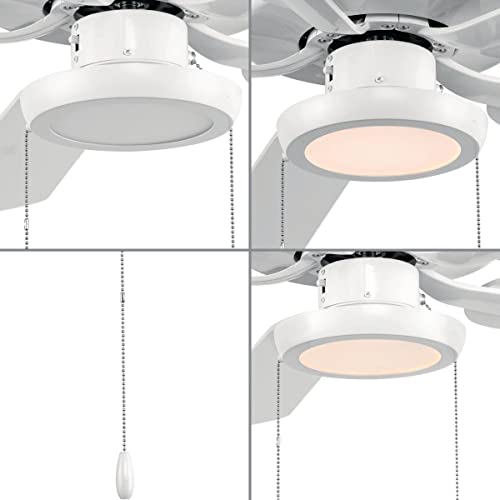 Progress Lighting AirPro 1-Light LED Ceiling Fan Kit