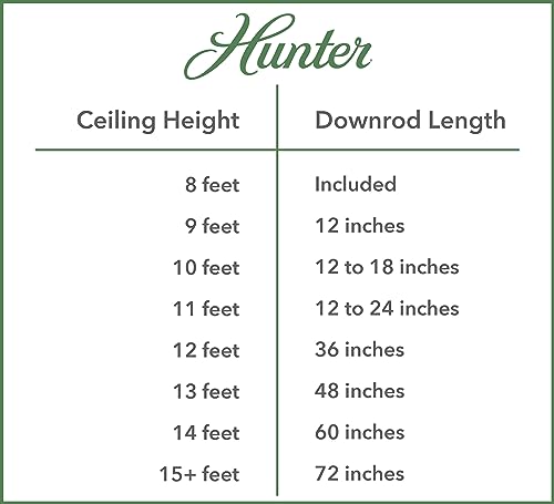 Hunter Original Black 48 inch Ceiling Fan Company