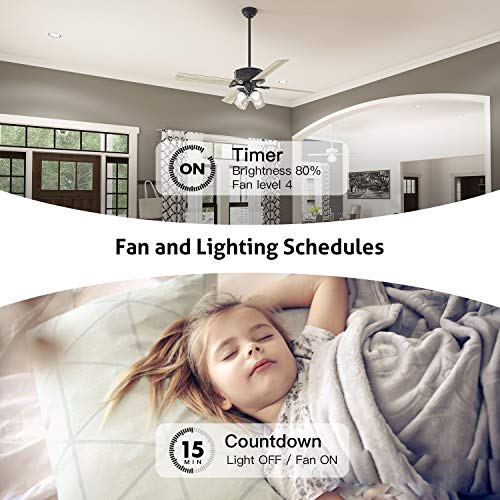 Smart Ceiling Fan Control & Dimmer Light Switch Combo