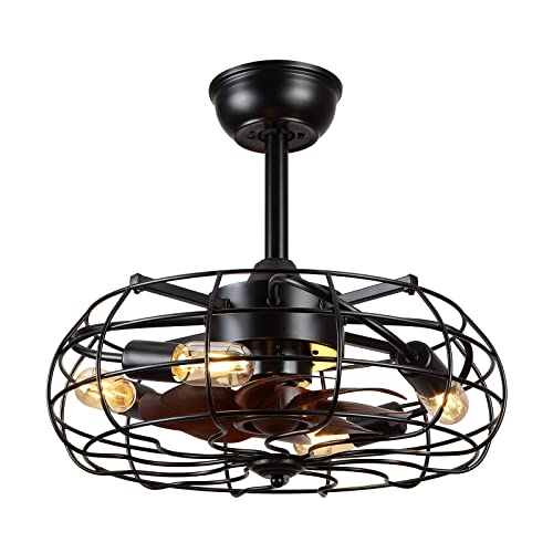 Black Caged Ceiling Fan with Lights, Remote Control