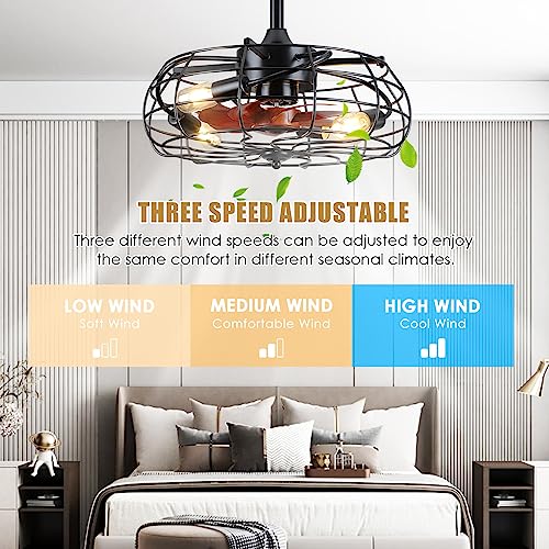 Black Caged Ceiling Fan with Lights, Remote Control