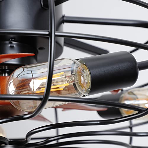 Black Caged Ceiling Fan with Lights, Remote Control