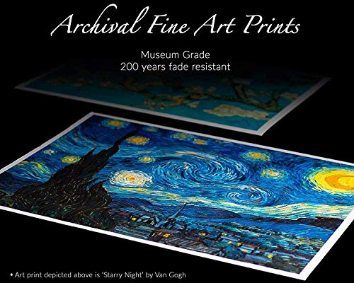 Bettie Page Vintage Pinup XL CANVAS PRINT"" Black & White photo C Paintings Oil Painting Original Drawing Poster Wall Art (8x14inch NO Framed)