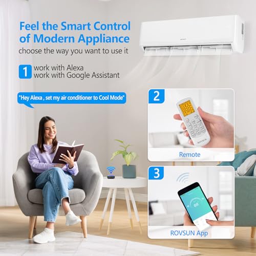 ROVSUN 12,000 BTU WIFI Enabled Mini Split Heater