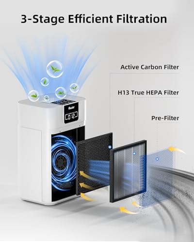 Large Room Air Purifier with True HEPA Filter