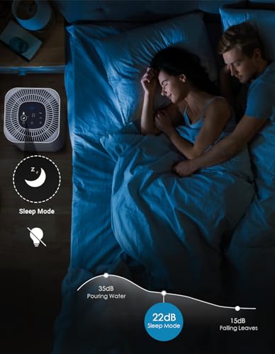 Dayette HEPA Air Purifier for Large Home Rooms