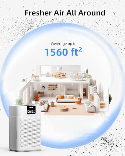Large Room Air Purifier with True HEPA Filter