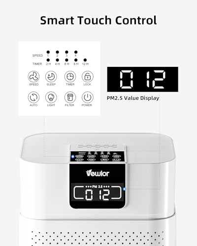 Large Room Air Purifier with True HEPA Filter