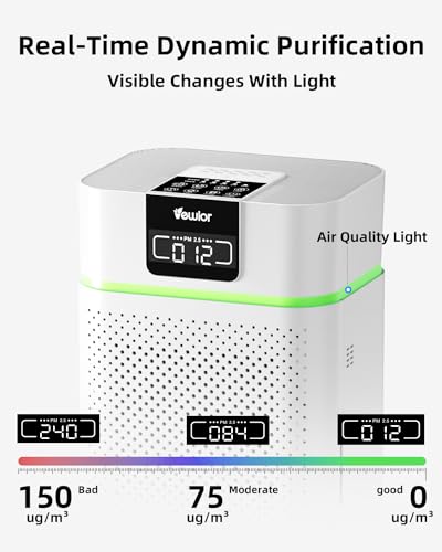 Large Room Air Purifier with True HEPA Filter
