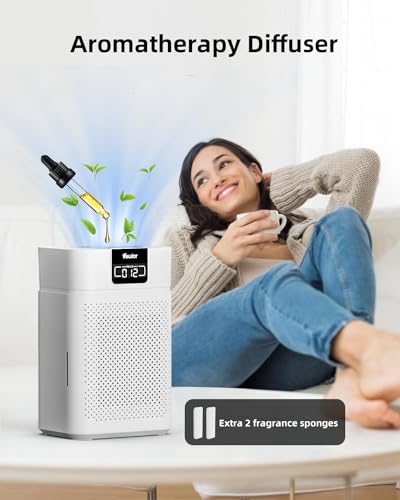 Large Room Air Purifier with True HEPA Filter
