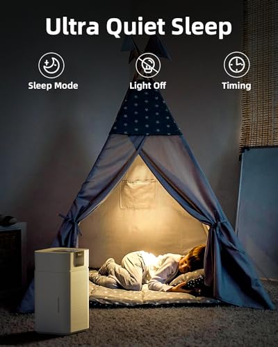 Large Room Air Purifier with True HEPA Filter